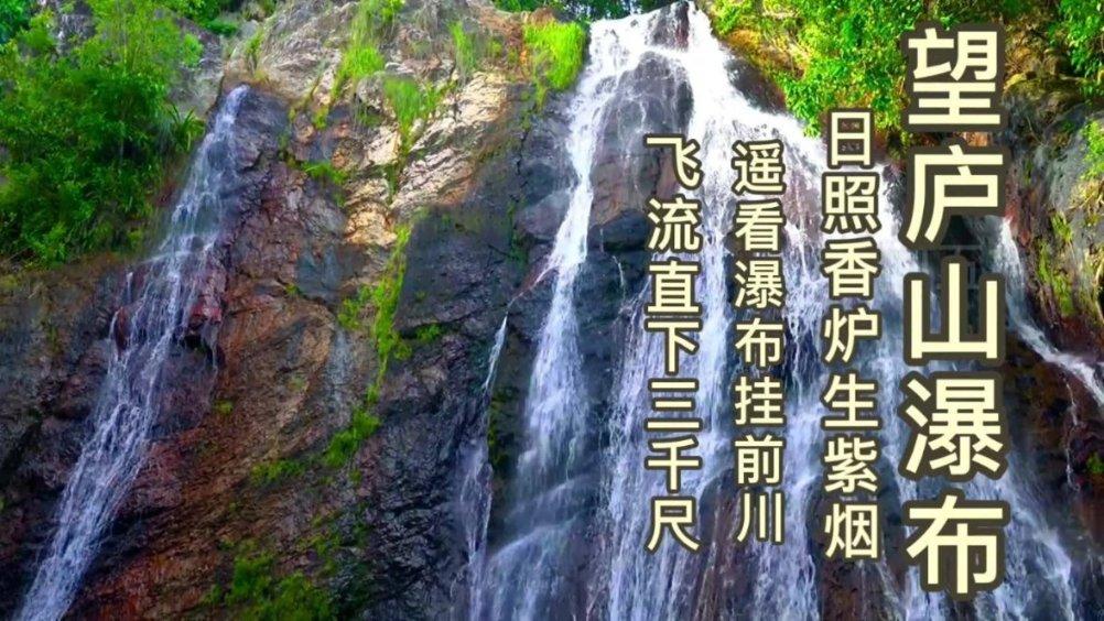 逃离橙园